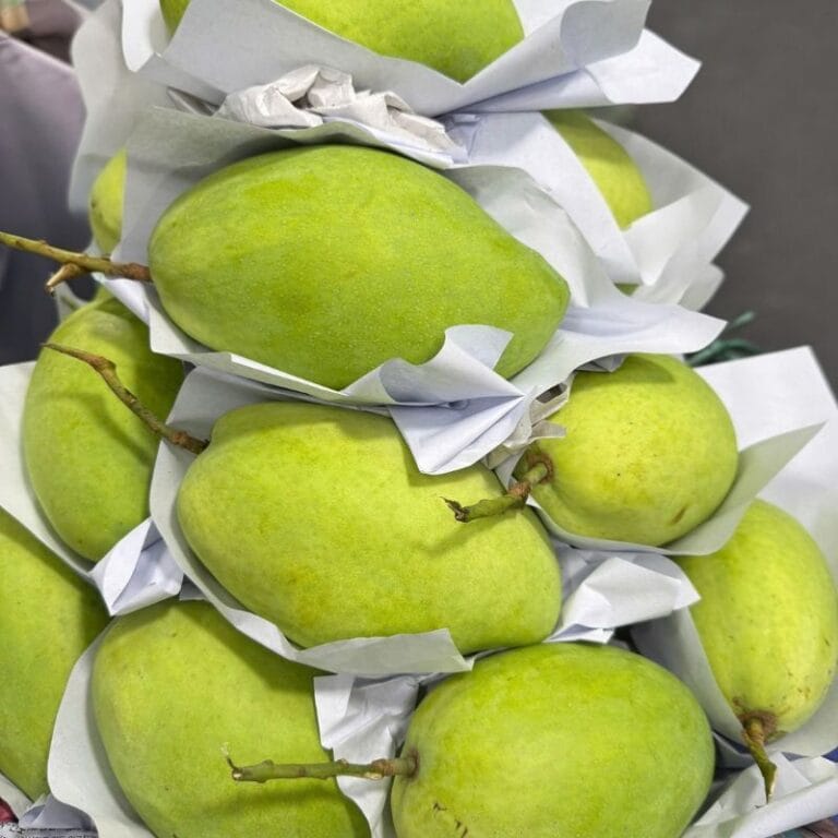 Xoaif Xoài Tứ Quý Bến Tre – Ăn Xanh Giòn Ngọt, Ăn Chín Đậm Đà