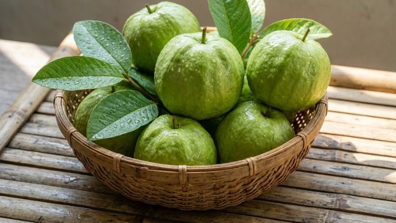 Rổ ổi nữ hoàng vỏ xanh bóng