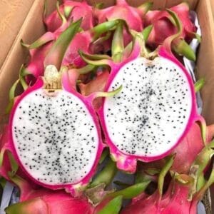 Thanh Long Ruột Trắng