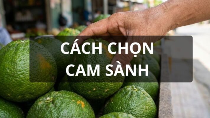 Cách chọn cam sành