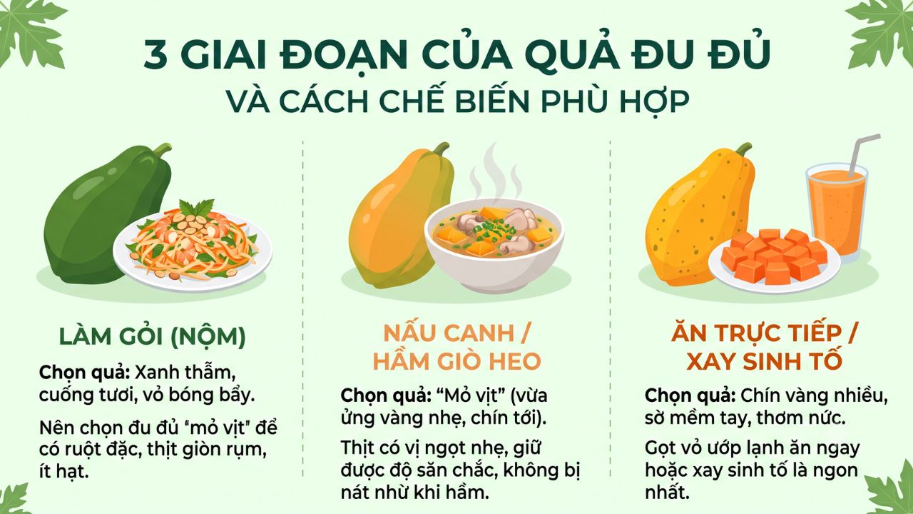 Ba giai đoạn của quả đu đủ phù hợp để: làm gỏi, nấu canh và ăn chín