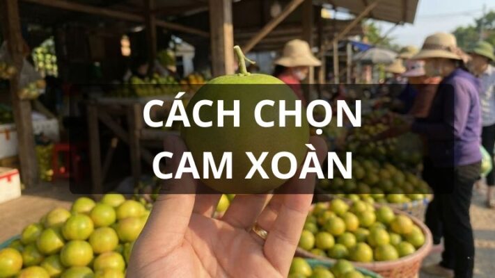 Cách chọn cam xoàn