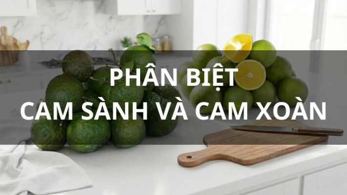Cam sành và cam xoàn