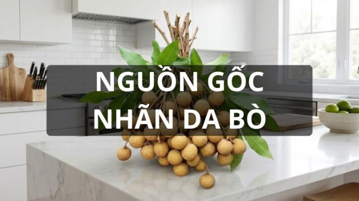 Nguồn gốc nhãn da bò