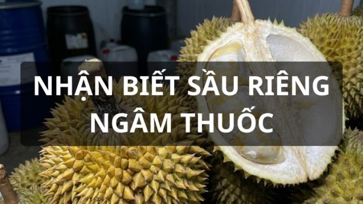 Nhận biết sầu riêng ngâm thuốc
