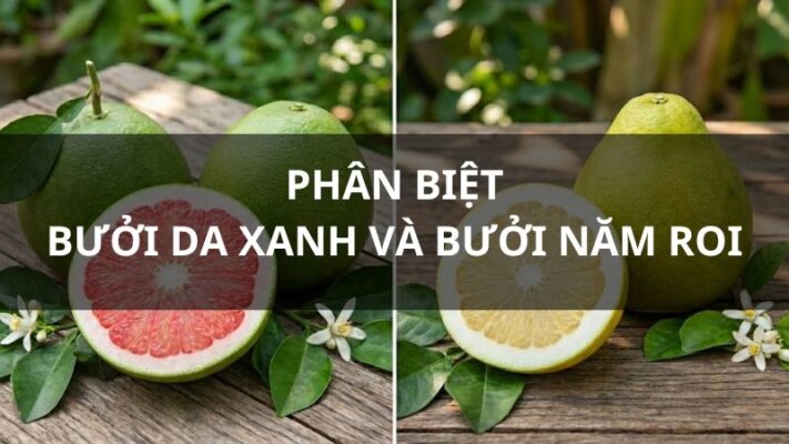 So sánh bưởi da xanh và năm roi