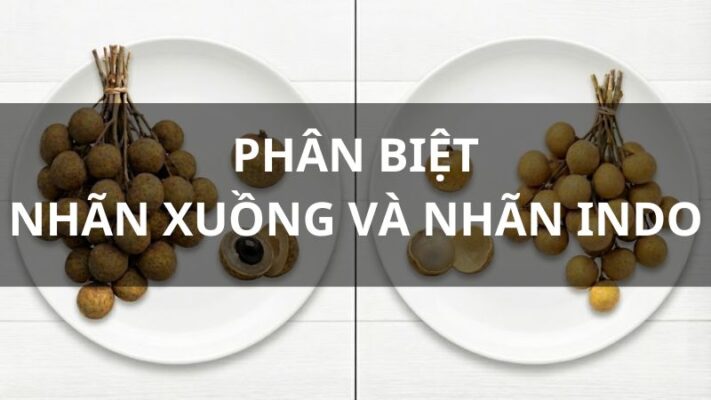 So sánh nhãn xuồng và nhãn indo