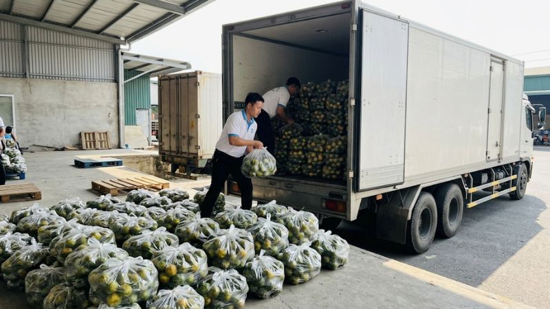 Chuyến xe tải vận chuyển cam sành miền tây