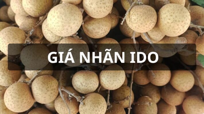 Giá nhãn ido