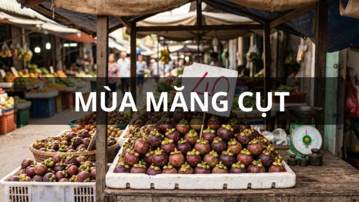 Mùa măng cụt