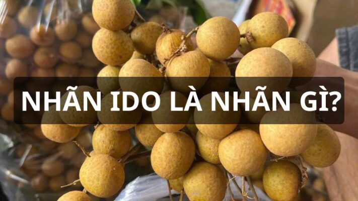 Nhãn Ido là nhãn gì