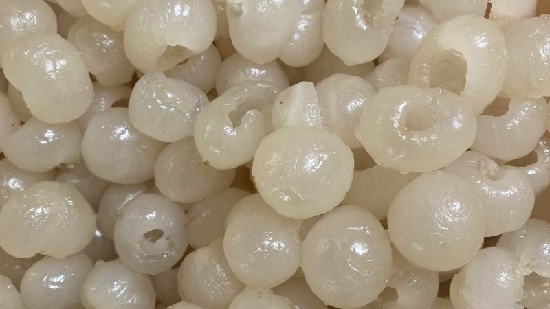Cận cảnh phần thịt quả nhãn Ido dày dặn, hạt nhỏ bên trong lớp vỏ mỏng