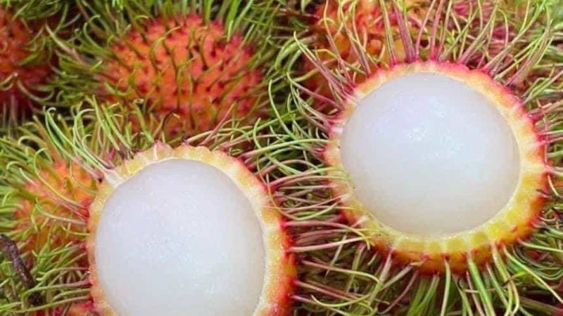 Chôm chôm thái ở Thái Nguyên