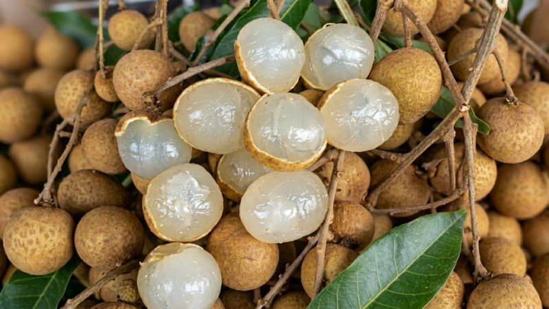 Một chùm nhãn Ido trĩu quả, quả to đều