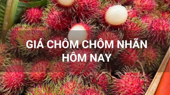 Giá chôm chôm nhãn hôm nay