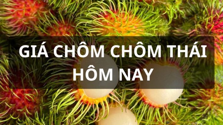 Giá chôm chôm thái hôm nay
