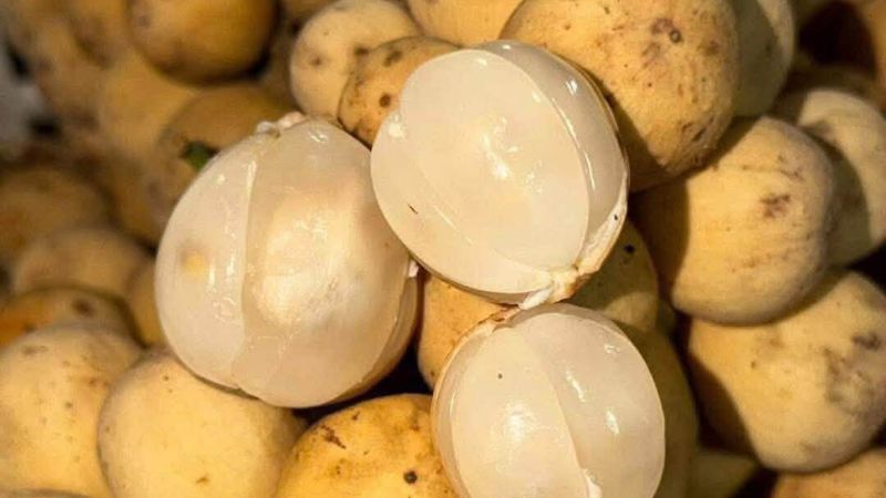 Bòn bon ở đồng bằng sông Cửu Long
