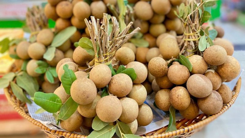 Chùm quả Nhãn Xuồng Cơm Vàng chín vàng ươm