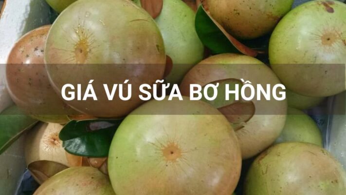 Giá vú sữa bơ hồng hôm nay