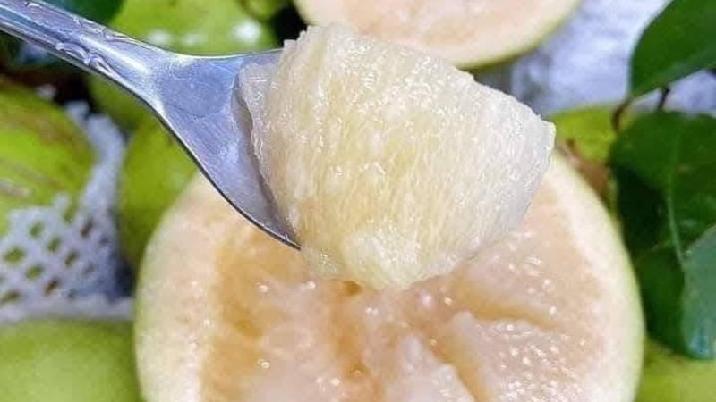 Nguồn dinh dưỡng dồi dào từ vú sữa bơ hồng