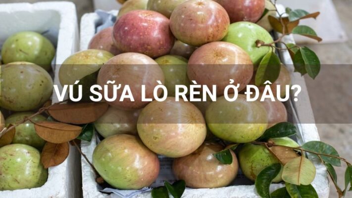 Vú sữa lò rèn ở đâu