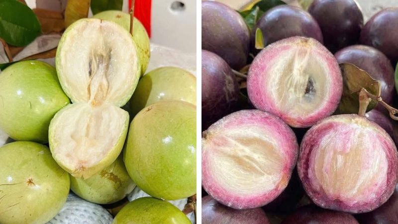 So sánh vú sữa quả xanh và quả tím