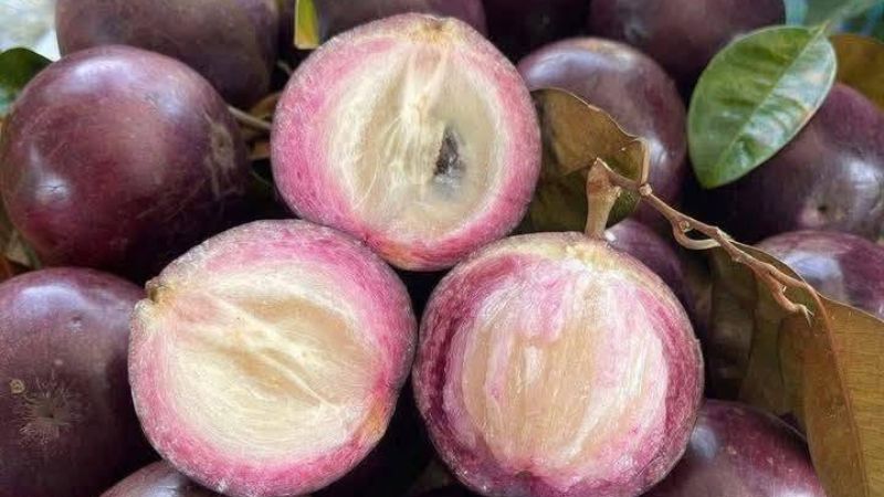 Vú sữa tím khi cắt ra