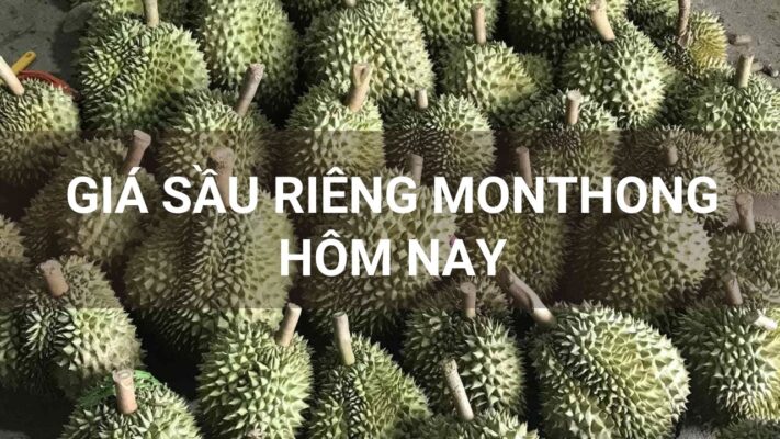 Giá sầu riêng Monthong hôm nay