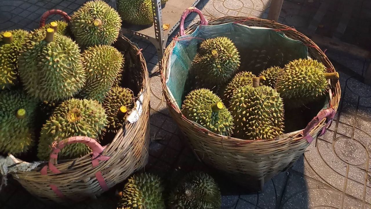Những sọt sầu riêng Monthong chuẩn bị được đóng gói cẩn thận