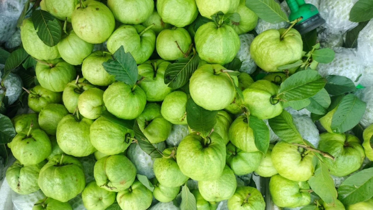 Ổi nữ hoàng tại chợ dân sinh